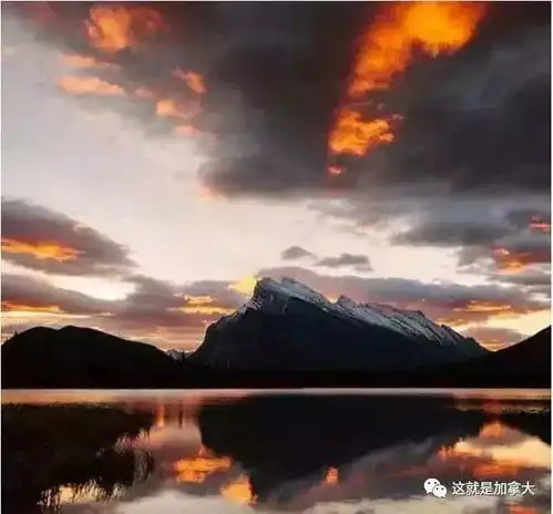 多伦多拿了个第一,温尼伯,温哥华紧随其后,卡尔加里这次排在后面警方