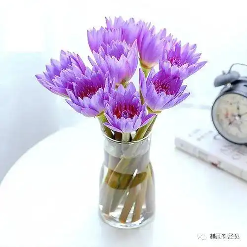 五一宅家不完全指南