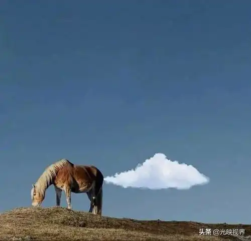 30幅有趣的街头抓拍照片,生活中难得的幽默瞬间