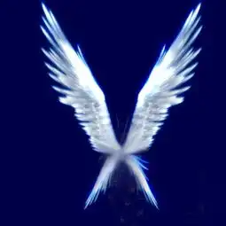 测试一个超长简介的文章