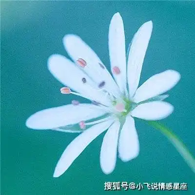 越老越迷人的三大生肖女,非常漂亮,丈夫没有安全感