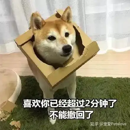 测试一个超长简介的文章