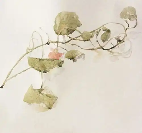 生长在花园里的水彩画水彩