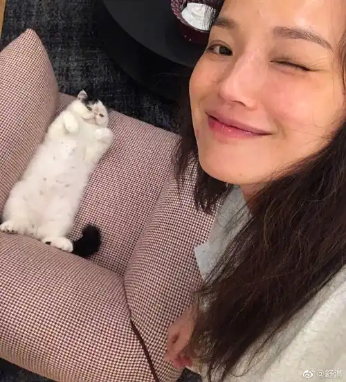 组图舒淇遇萌猫秒变小粉丝对镜比耶做wink甜度满分