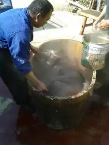 过徽州年杀皖南黑猪