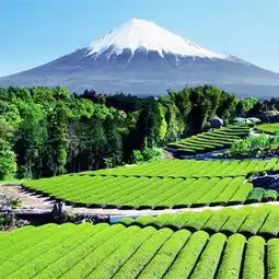 日本版从头像看性格,一看一个准快来对号入座