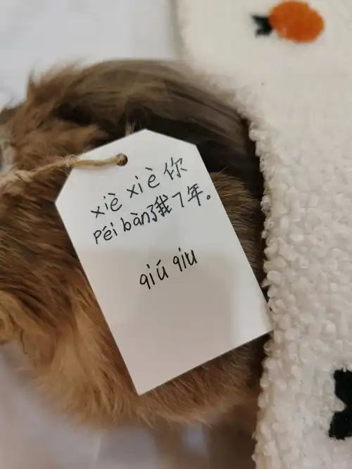 做宠物殡葬师这两年并非暴利行业