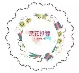 2019年四川省第二十八期花卉观赏指数