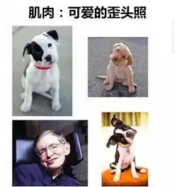 幽默搞笑令人智熄的吐槽,让你3秒免疫毒鸡汤