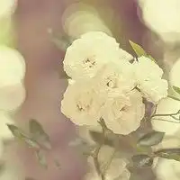 绿色头像微信头像图片大全