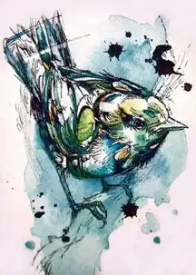 视觉体验视觉