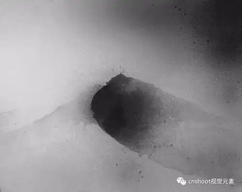印尼插画师eliciaedijanto的黑白水彩画