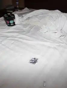 东莞警方突袭洗脚城抓获17名涉黄女技师