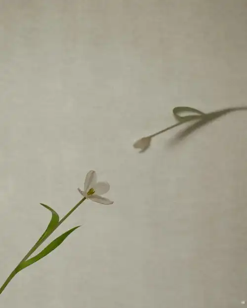 要我说,这是女摄影师自拍的天花板