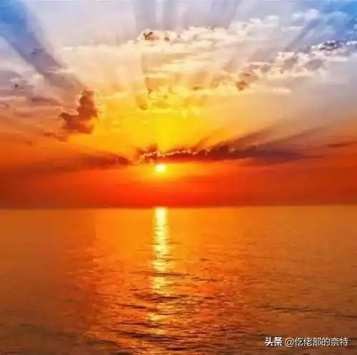 测试一个超长简介的文章