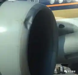新航飞机撞上鸟群,场面血腥,惨不忍睹