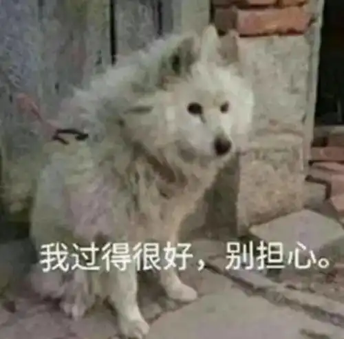初遇南方的冬天,北方人表示冷得还可以