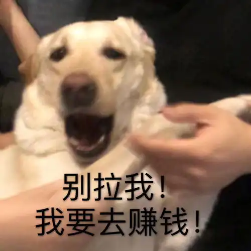 最新热门微信表情包图片老司机有点搞笑