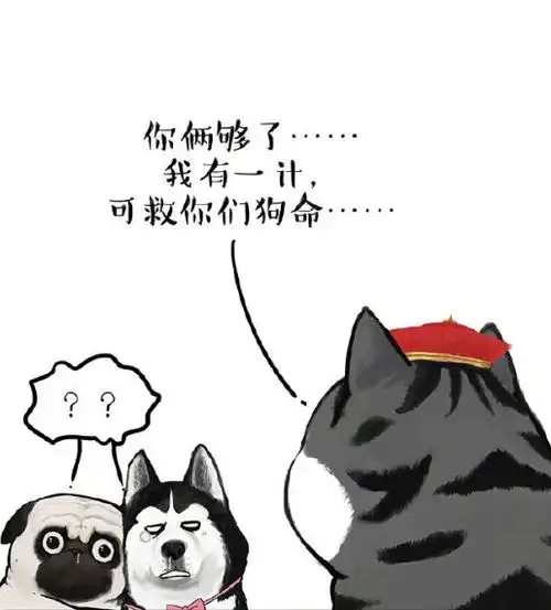 爆笑两只小狗弄坏了沙发,小猫来帮忙,其实是故意帮倒忙