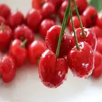 微信头像樱桃图片大全微信头像图片大全