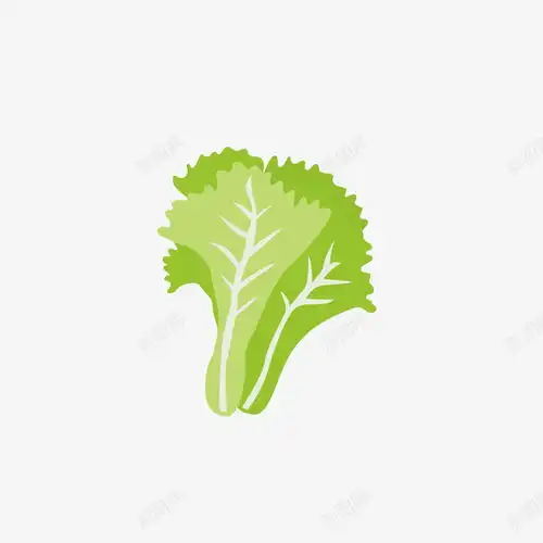 卡通白菜免抠png设计图片免费下载页面网页平面电商创意素材蔬菜卡通素材