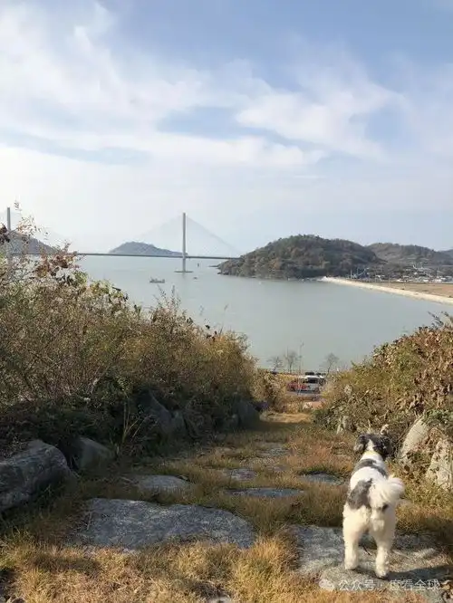青岛燕儿岛山公园,海风吹过的地方,连浪漫都带了盐味
