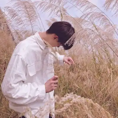 好看情头12张,全部是唯美意境只要你喜欢