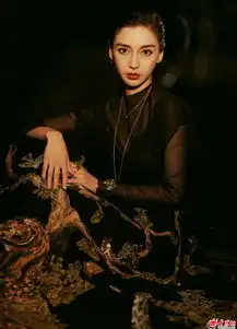 angelababy身穿黑透视刺绣裙创业时代发布会大曝网恋情节