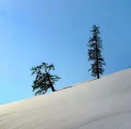 喀纳斯的冬天,是蓝与白的冰雪奇缘