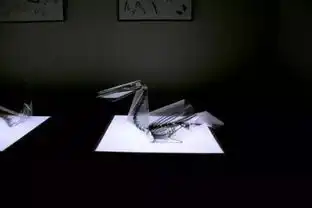 半透明纸上神奇的骨架立体图像艺术捕梦