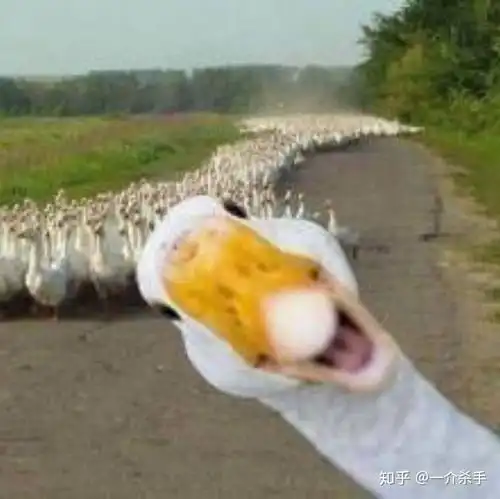 测试一个超长简介的文章