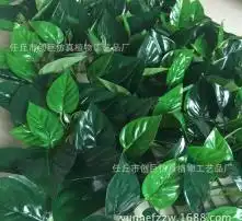 黄页88高清图片