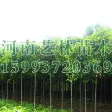 黄页88网