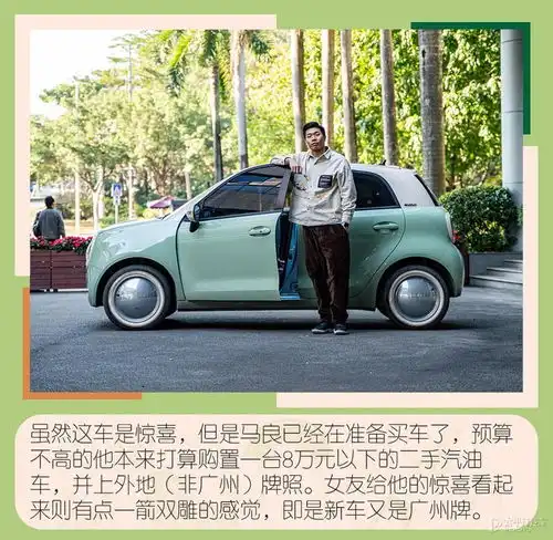 欧拉黑猫到底有什么魔力买它要注意什么