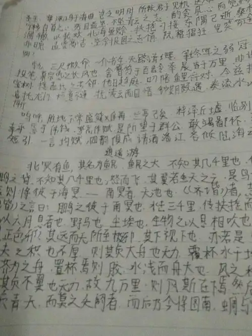 测试一个超长简介的文章