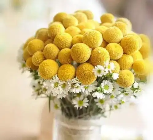 哈皮涛涛余生,做一个正能量的人,照亮自己,温暖别人生活