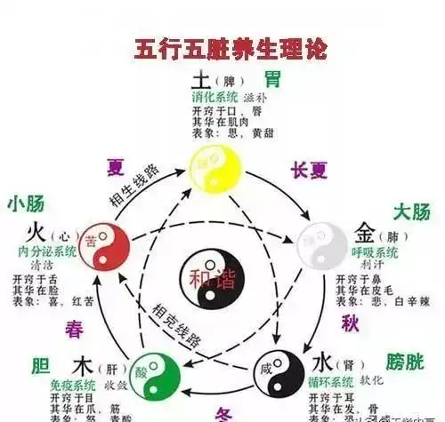 五行疾病与脏腑,五行偏弱吃点啥
