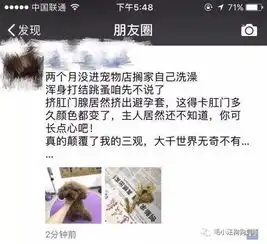 萌宠圈2个月没洗澡,狗狗肛门腺里居然挤出避孕套别再因为你的疏忽让狗狗痛苦......