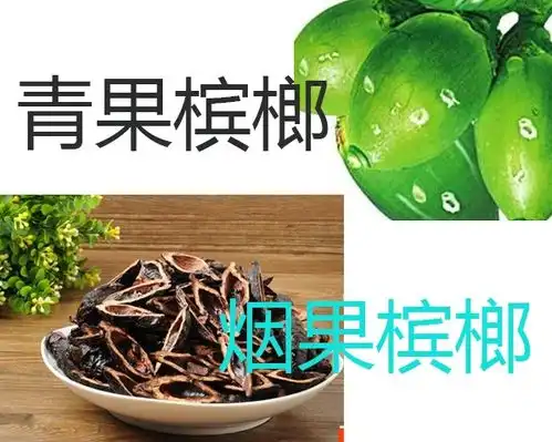 青果槟榔和烟果槟榔有什么区别
