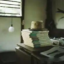复古爱好者的美丽家设计文艺唯美范儿组图