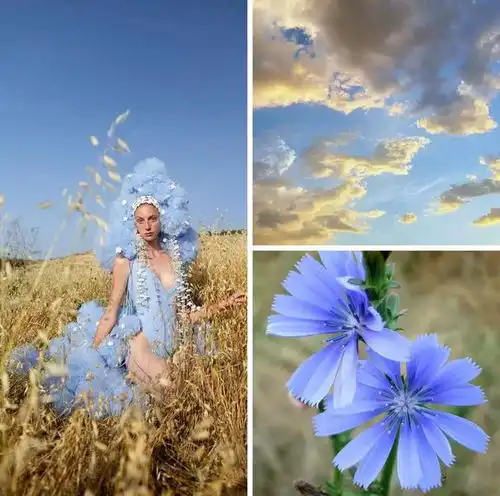 遇见色彩矢车菊蓝,在童话与现实间穿梭,诠释高级感的清新哲学