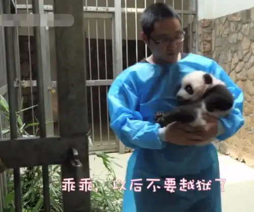 奶爸看到了吗学会了吗两道锁,你是出不去的
