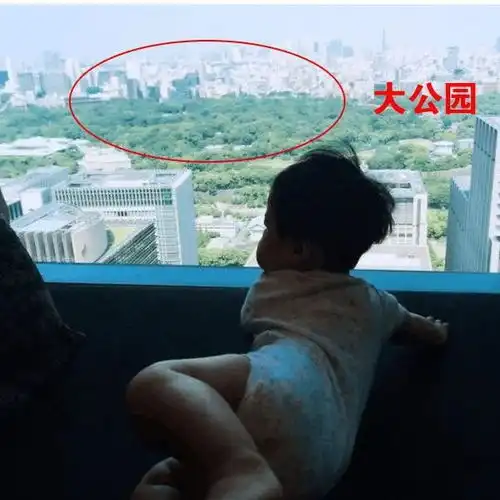 陈赫上海豪宅曝光,和王思聪同小区,13万一平天价令人咋舌