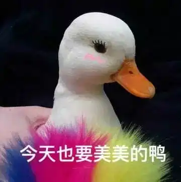 生活中超暖的创意这位摄影师能把平淡的日子拍得活力满满