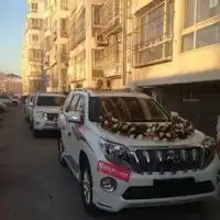 婚车车队头像结婚婚车车队头像