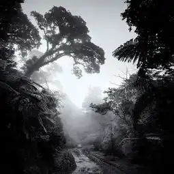 梦幻的黑白影像摄影师用镜头表现水墨画意境