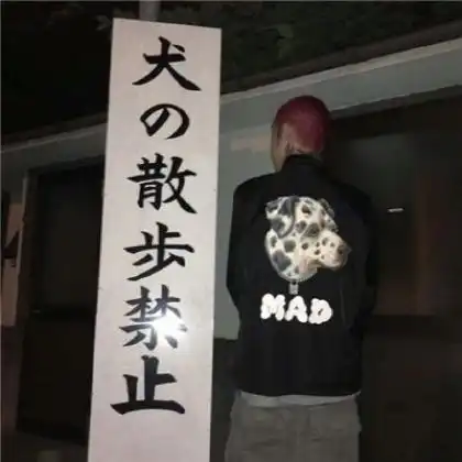 测试一个超长简介的文章