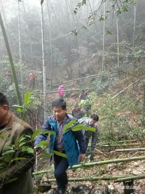 青青翠竹成绿海花岗磐石立千仞登灵山记