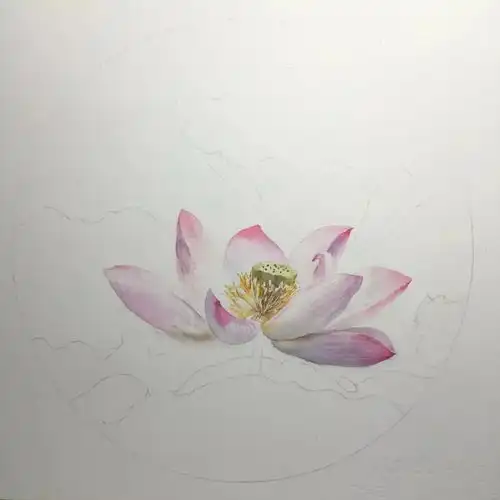 零基础水彩画入门教程水彩画自学教程附全套视频下载