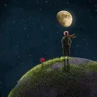 王冠小王子月亮头像